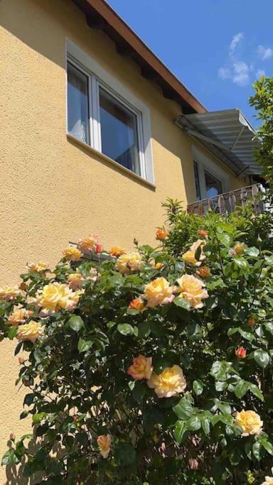 Duesseldorf Messe And Airport, 2-Bedroom Apartment With Kitchen And Garden Duisburg Bagian luar foto